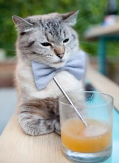 开云-_热火铁血防守，延续胜利_，热血铁战队电视剧